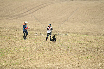 Darka King Adventure