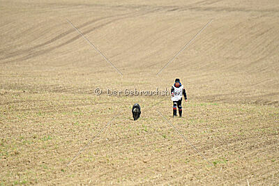 Darka King Adventure