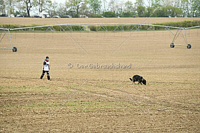 Darka King Adventure