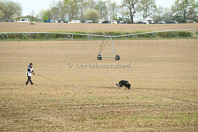 Darka King Adventure