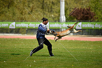 Davinia vom Wein Berg Land