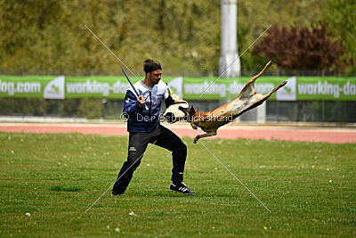 Davinia vom Wein Berg Land