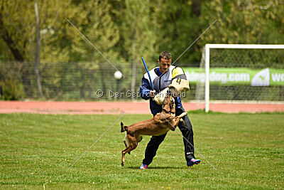 Davinia vom Wein Berg Land