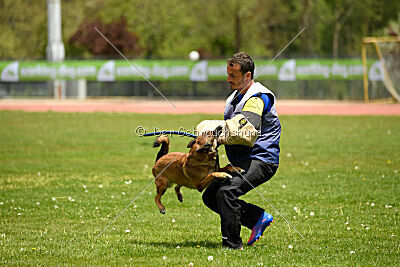 Davinia vom Wein Berg Land
