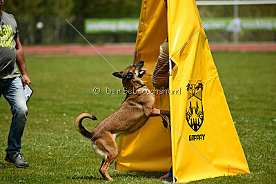 Davinia vom Wein Berg Land