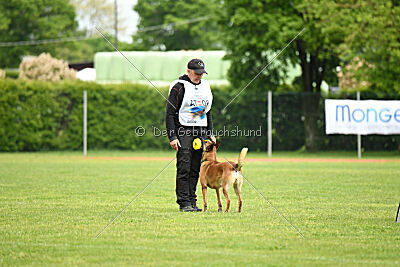 Davinia vom Weinbergland