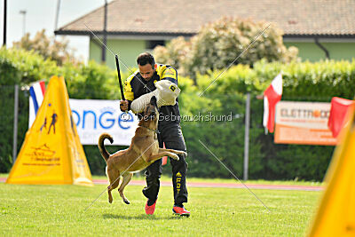 Davinia vom Weinbergland