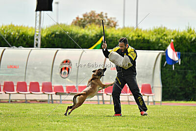 Davinia vom Weinbergland