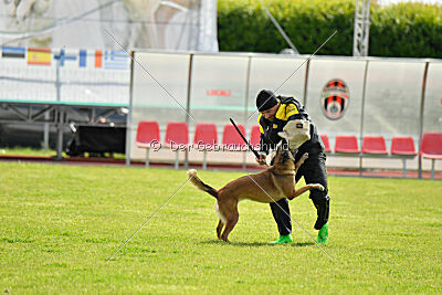 Davinia vom Weinbergland