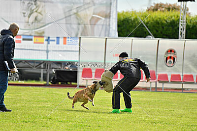 Davinia vom Weinbergland