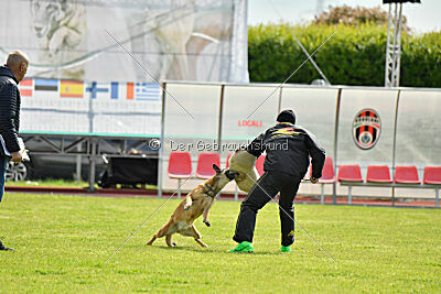 Davinia vom Weinbergland