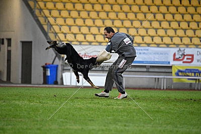 Debby vom Eisernen Kreuz