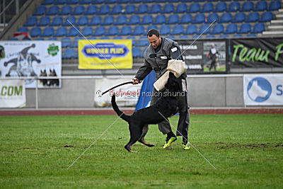 Debby vom Eisernen Kreuz