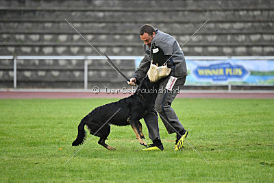 Debby vom Eisernen Kreuz