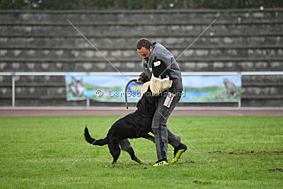Debby vom Eisernen Kreuz