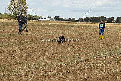 Debby vom Eisernen Kreuz