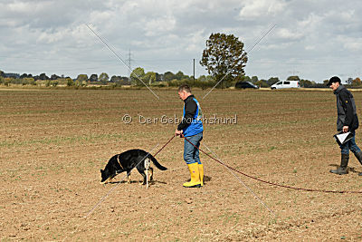 Debby vom Eisernen Kreuz