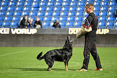 Debby vom Eisernen Kreuz