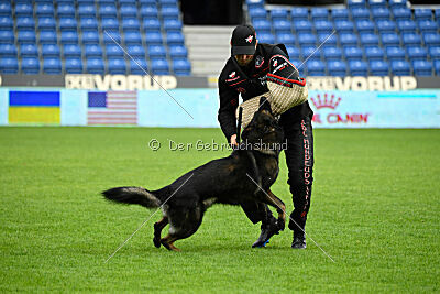 Denzel del Camino Duro