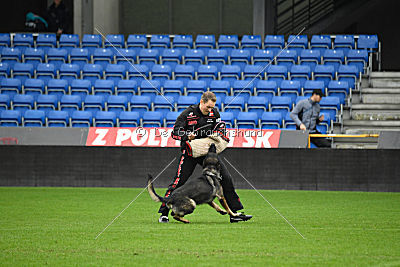 Derby vom Körbeltal