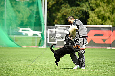 Desert vom Illergries