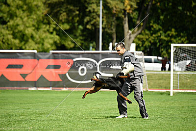 Desert vom Illergries