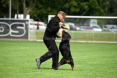 Desert vom Illergries