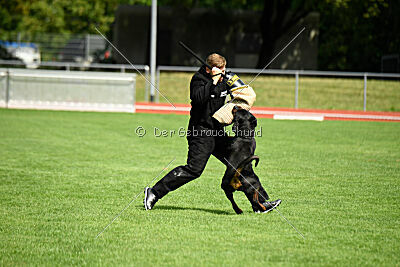 Desert vom Illergries