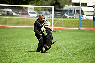 Desert vom Illergries