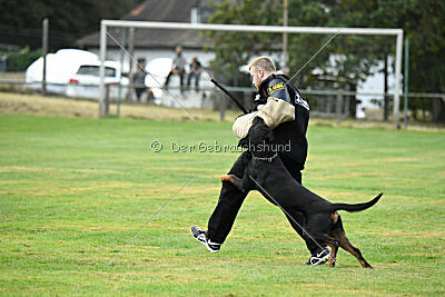 Desert vom Illergries