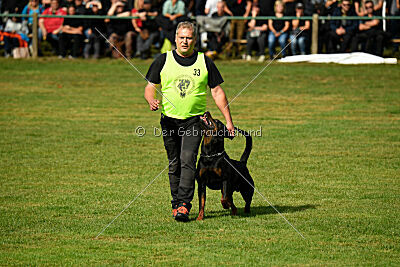 Desert vom Illergries