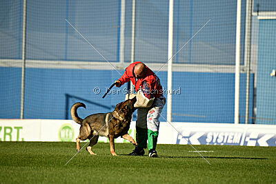 Dewil Moravia Kerberos