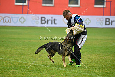 Diego-III