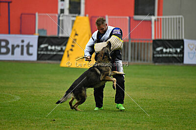 Diego-III