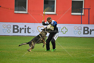 Diego-III