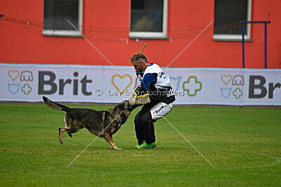 Diego-III