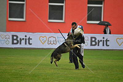 Diego-III