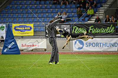 Diego vom Alten Bernauer Heerweg