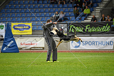 Diego vom Alten Bernauer Heerweg