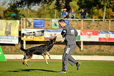 Diego vom Alten Bernauer Heerweg