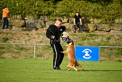 Digger vom Stockborn