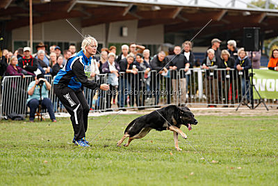 Dina vom Eisernen Kreuz