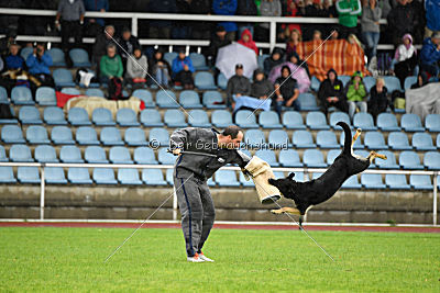 Dina vom Eisernen Kreuz
