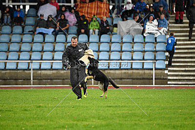 Dina vom Eisernen Kreuz