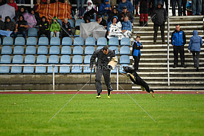 Dina vom Eisernen Kreuz