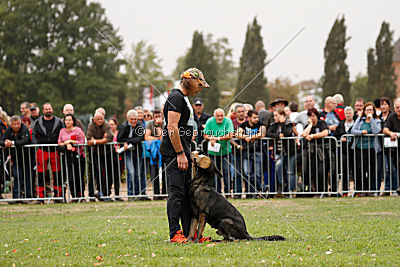 Dinoso vom Eisernen Kreuz