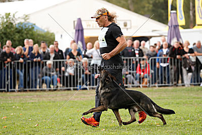 Dinoso vom Eisernen Kreuz