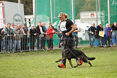 Dinoso vom Eisernen Kreuz