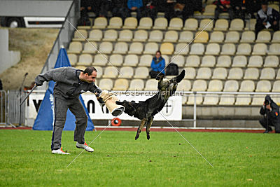 Dinoso vom Eisernen Kreuz