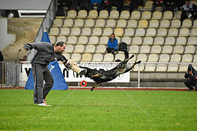 Dinoso vom Eisernen Kreuz